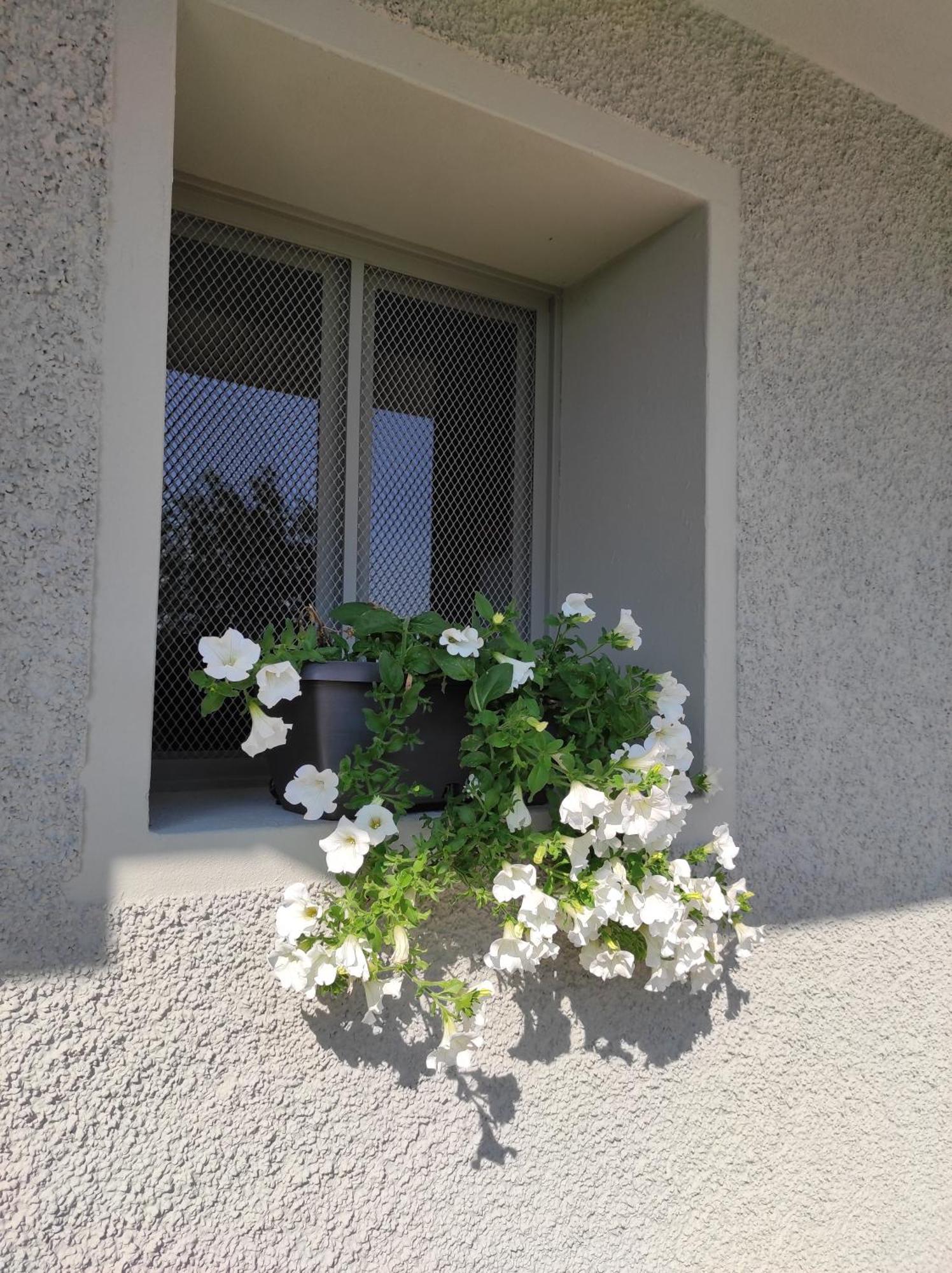 Attic House Mountain Lake Iseo Hospitality Bossico Exterior foto